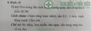 Huyệt kinh cừ