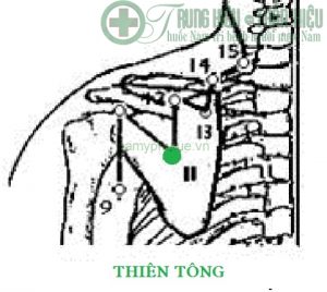 Huyệt thiên tông