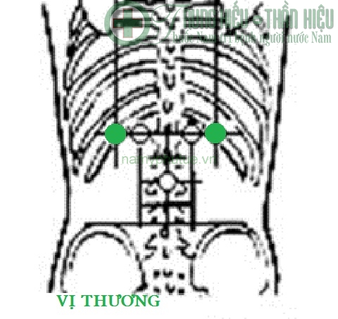 Huyệt vị thương