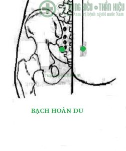 Huyệt bạch hoàn du