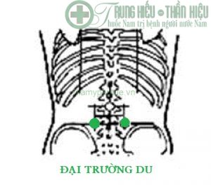 Huyệt đại trường du