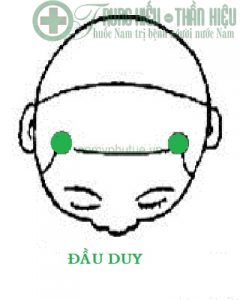 Huyệt đầu duy