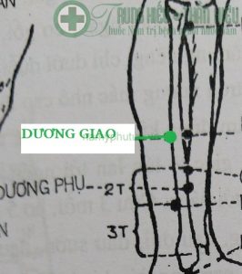 Huyệt dương giao