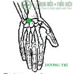 Huyệt dương trì