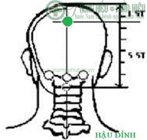 Huyệt hậu đỉnh