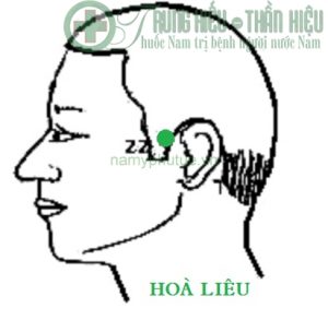 Huyệt hoà liêu