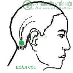 Huyệt hoàn cốt