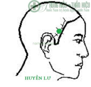 Huyệt huyền lư