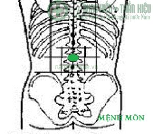 Huyệt mệnh môn