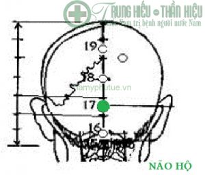 Huyệt não hộ