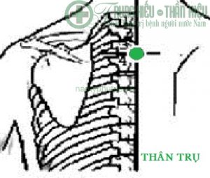 Huyệt thân trụ