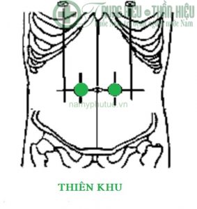 Huyệt thiên khu