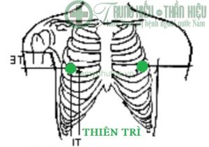 Huyệt thiên trì