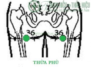 Huyệt thừa phù