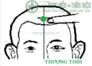 Huyệt thượng tinh