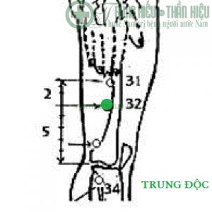 Huyệt trung độc