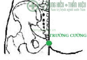 Huyệt trường cường