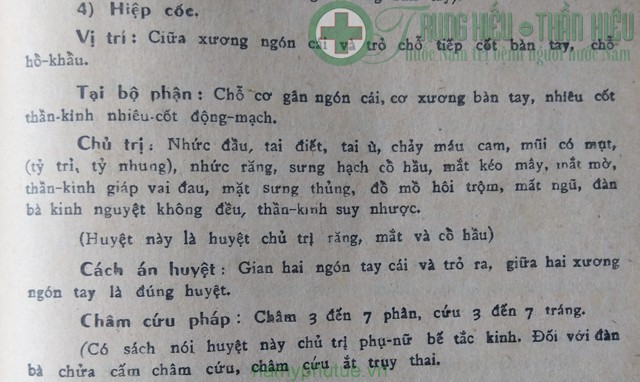 Huyệt hợp cốc -1