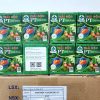 Thải độc giải rượu PT